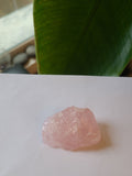 Rose Quartz